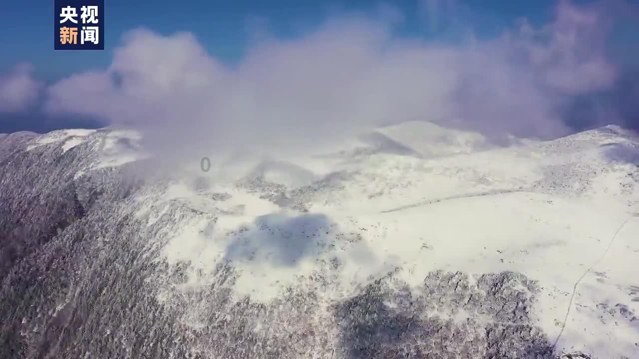 春运客流高位运行，多举措便利旅客出行