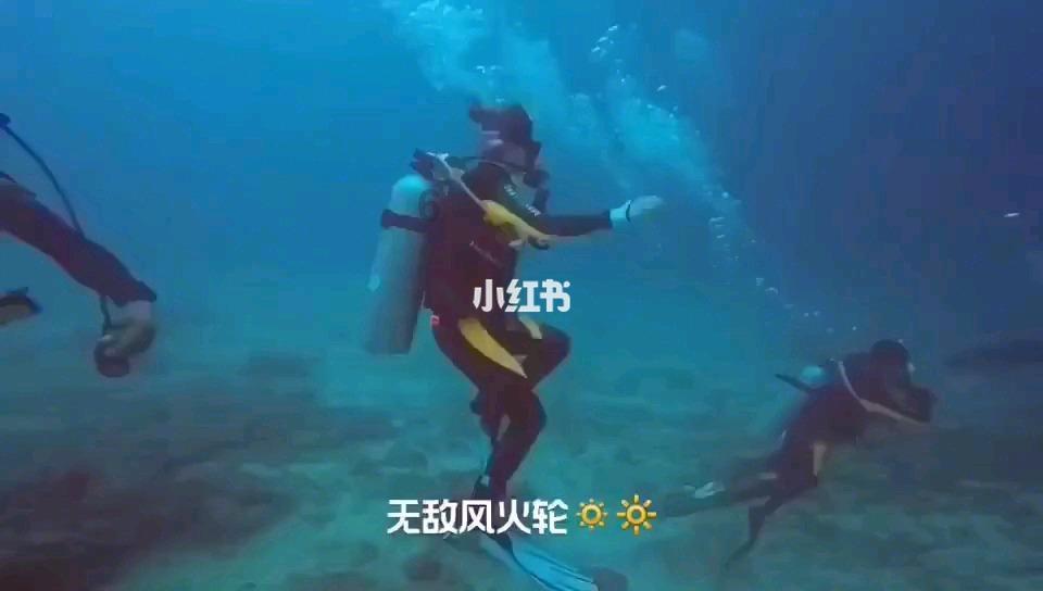 昆明动物园救出来的猫,被掉包了?