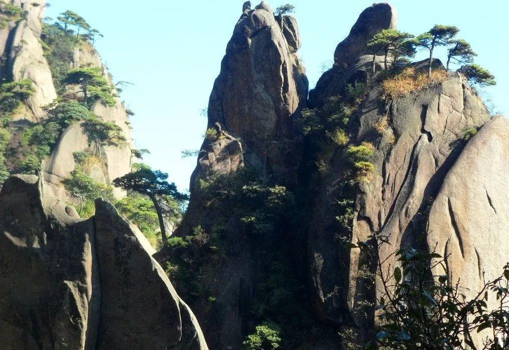 梦想的后院