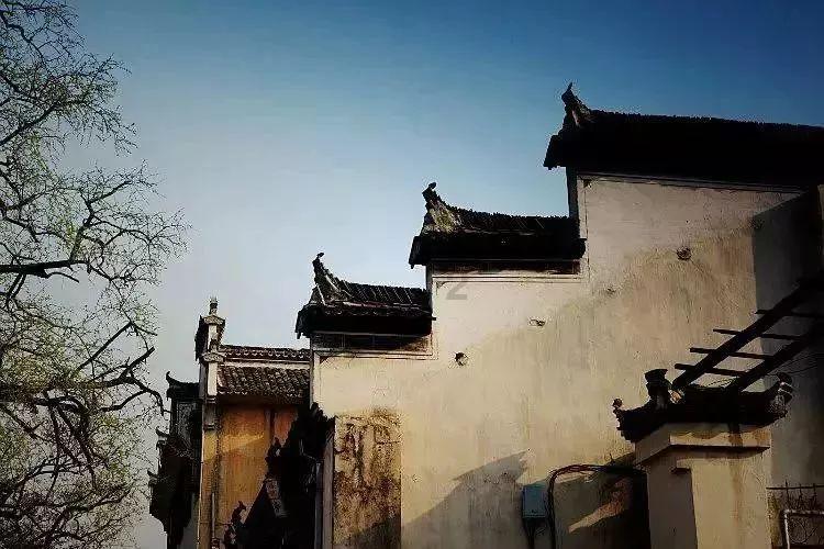 白化摇篮曲